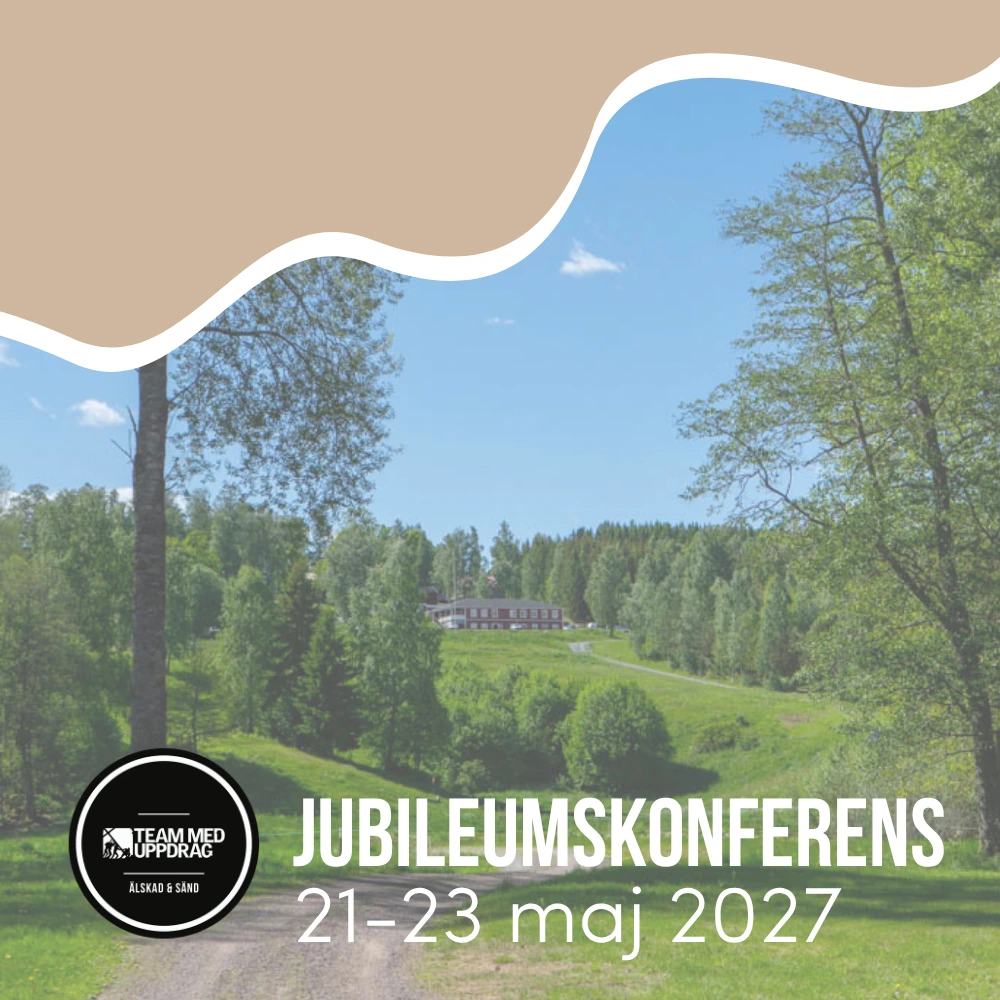 Jubileumskonferens - 2-2